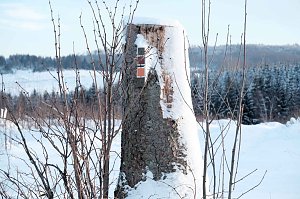 Wunderbare Winterlandschaft bei Benneckenstein