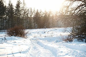 Wunderbare Winterlandschaft bei Benneckenstein