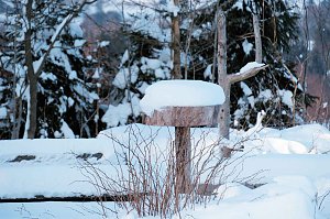 Wunderbare Winterlandschaft bei Benneckenstein