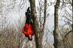 Baumproben bei Kelbra