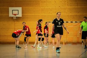 Handball am Wochenende