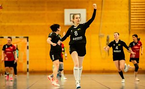 Handball am Wochenende