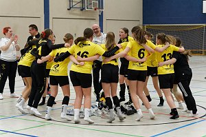 Handball am Wochenende