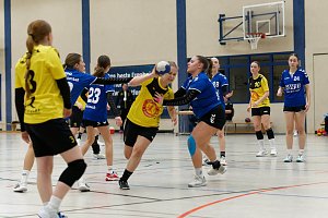Handball am Wochenende