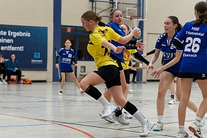 Handball am Wochenende