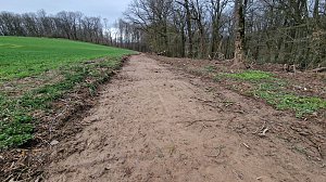 Was ist los im "Herreder H&ouml;lzchen"?