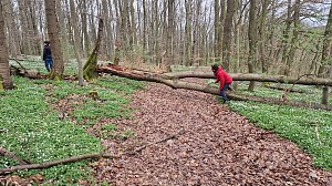 K&ouml;nnte der Weg zu einer Hindernis-Parcours ausgebaut werden?