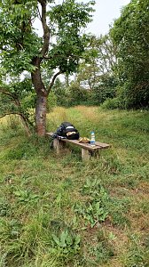 Impressionen vom Wegesrand