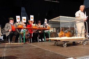 rolandsfest 2007