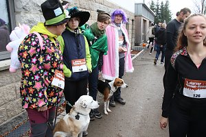 1. Hindernislauf am Harzer Hexenbesen