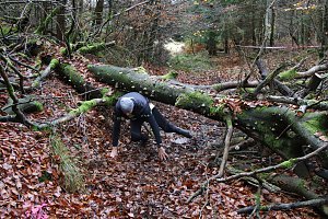 1. Hindernislauf am Harzer Hexenbesen