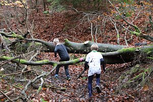1. Hindernislauf am Harzer Hexenbesen