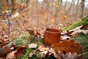 Artistik zwischen Baum und Borke - im Park Hohenrode lud man zu einem k&uuml;nsterlischen Waldspaziergang