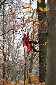 Artistik zwischen Baum und Borke - im Park Hohenrode lud man zu einem k&uuml;nsterlischen Waldspaziergang