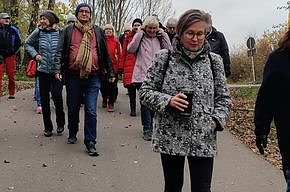Benefizwanderung am Geiseltalsee