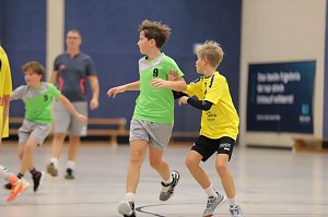 Handball-Ergebnisdienst