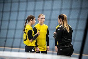 Hochklassiges Kreisfinale im Volleyball 