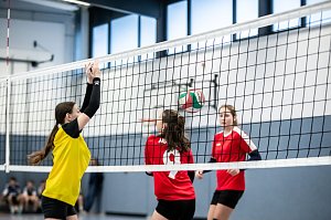 Hochklassiges Kreisfinale im Volleyball 