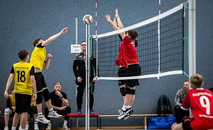 Hochklassiges Kreisfinale im Volleyball 