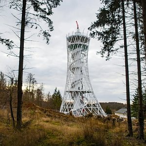Der Hexenbesen w&auml;chst und w&auml;chst und...