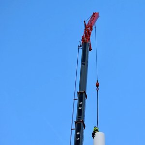 Der Hexenbesen w&auml;chst und w&auml;chst und...
