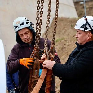 Der Hexenbesen w&auml;chst und w&auml;chst und...