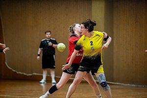 Die Nordhäuser Handballer zeigten sich am Wochenende bärenstark