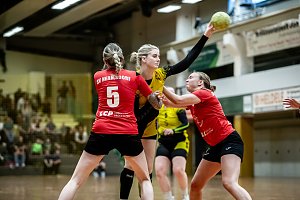 Die Nordhäuser Handballer zeigten sich am Wochenende bärenstark