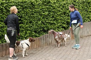 11. Harztorlauf - Am Start und auf der Strecke