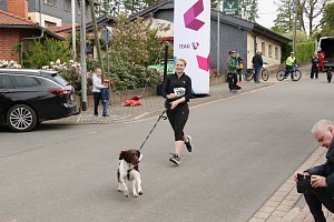 11. Harztorlauf - Am Start und auf der Strecke