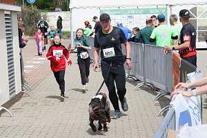 Auf der Zielgerade beim 11. Harztorlauf