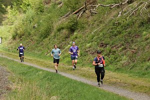 11. Harztorlauf - Am Start und auf der Strecke
