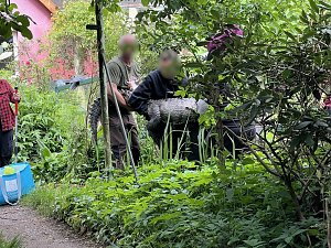 Krokodile und Schlagen in Obhut genommen
