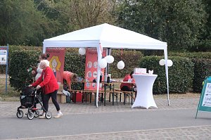 Scheinenhof-Fest mit Hobby Horsing