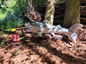 Susanne Walther war bei der European 3D Archery Championschip  in der Slowakei 