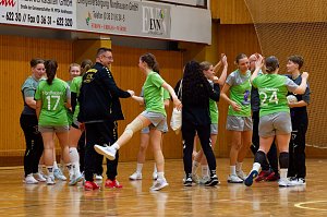 Die NSV Handballer und Handballerinnen hatten am Wochenende alle H&auml;nde voll zu tun