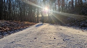 Winterwanderung am Kyffhäuser