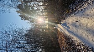 Winterwanderung am Kyffhäuser