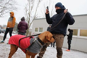 37. Nordh&auml;user Silvesterlauf