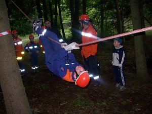 Abenteuer im Wald