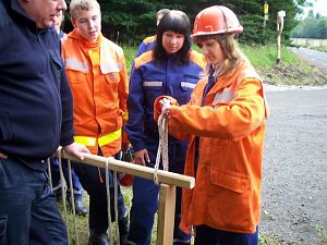 Abenteuer im Wald