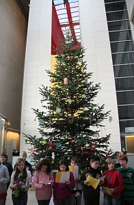 Oh Tannenbaum