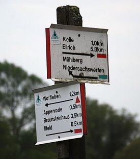 Bild: Sinnloses Geld