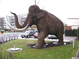 Bild: Brandanschlag in Nordhausen
