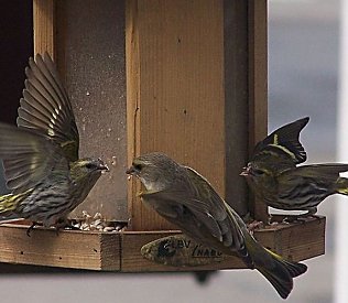 Bild: Im Winter helfen