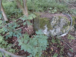 Bild: Das Kohnstein-Denkmal ist wieder aufgetaucht, der Fundort wird vorerst nicht verraten