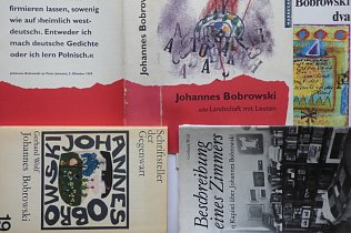 Bild: Geh unter sch&ouml;ne Sonne ... f&uuml;r Johannes Bobrowski zum 100. Geburtstag