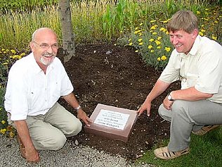 Bild: Baum f&uuml;r Partnerschaft