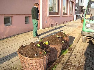 Bild: nnz-Foto des Tages: Gemein!