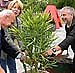 Bild: nnz-R&uuml;ckspiegel: Garten-Lust